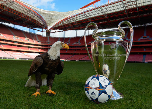 在足球这项 在足球这项